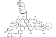 去甲万古霉素：战胜超级细菌的利器